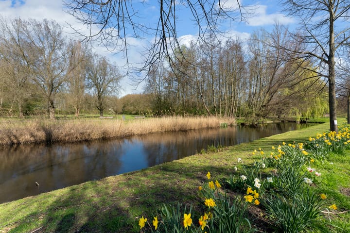 Foto 43 van Aronskelkstraat 101