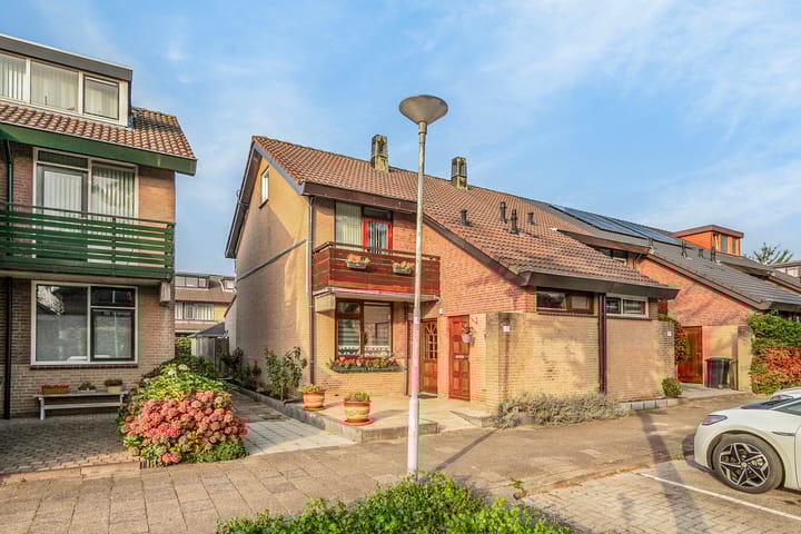 Foto 1 van Rupsklaver 32