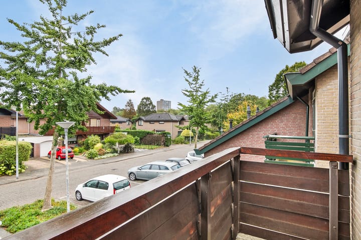 Foto 18 van Rupsklaver 32