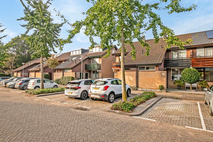 Foto 27 van Rupsklaver 32