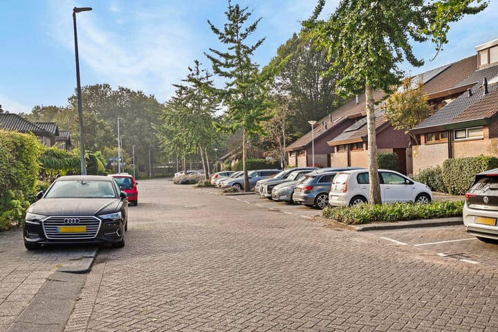 Foto 28 van Rupsklaver 32