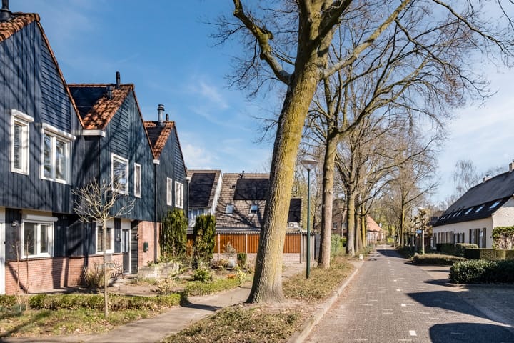 Foto 6 van Vlierelaar 4