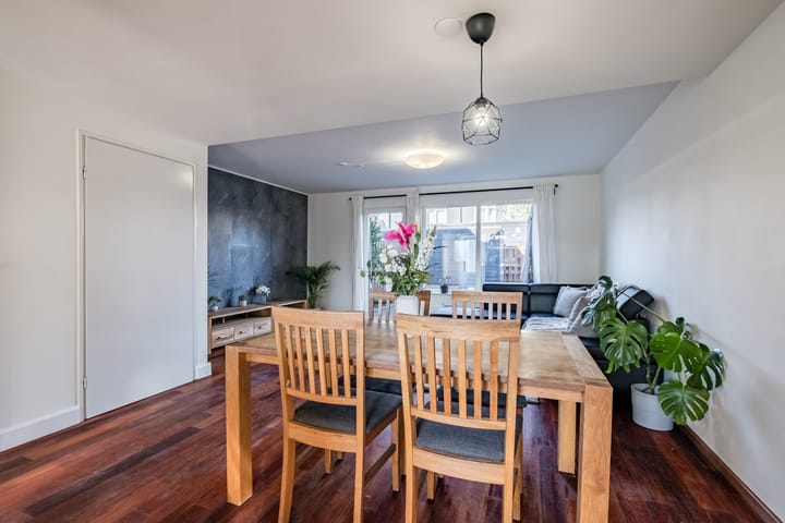 Foto 10 van Vlierelaar 4