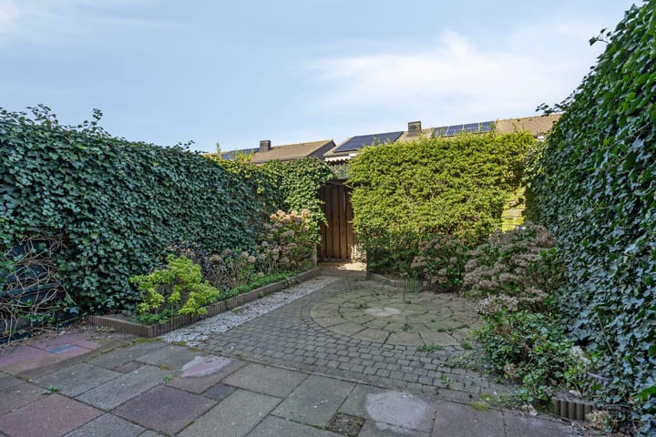 Foto 2 van Haya van Somerensingel 63