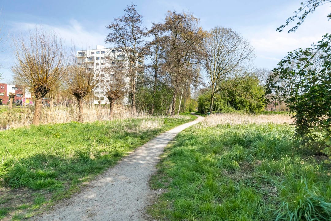 Foto 31 van Albatroshoek 23