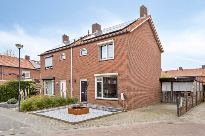 undefined main image