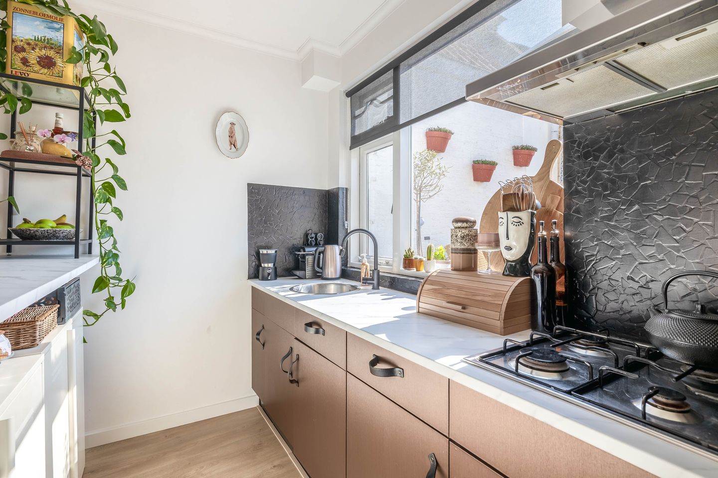 Photo 20 of Raam 216