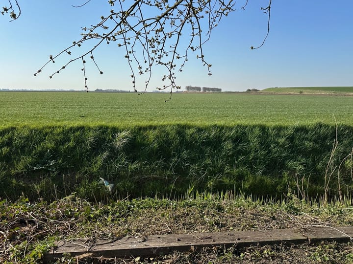 Foto 27 van Zeedorp 1-E