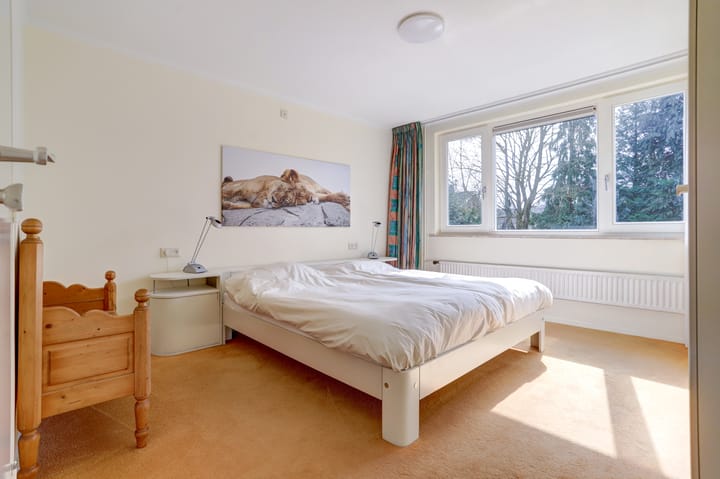 Foto 31 van Icaruslaan 18