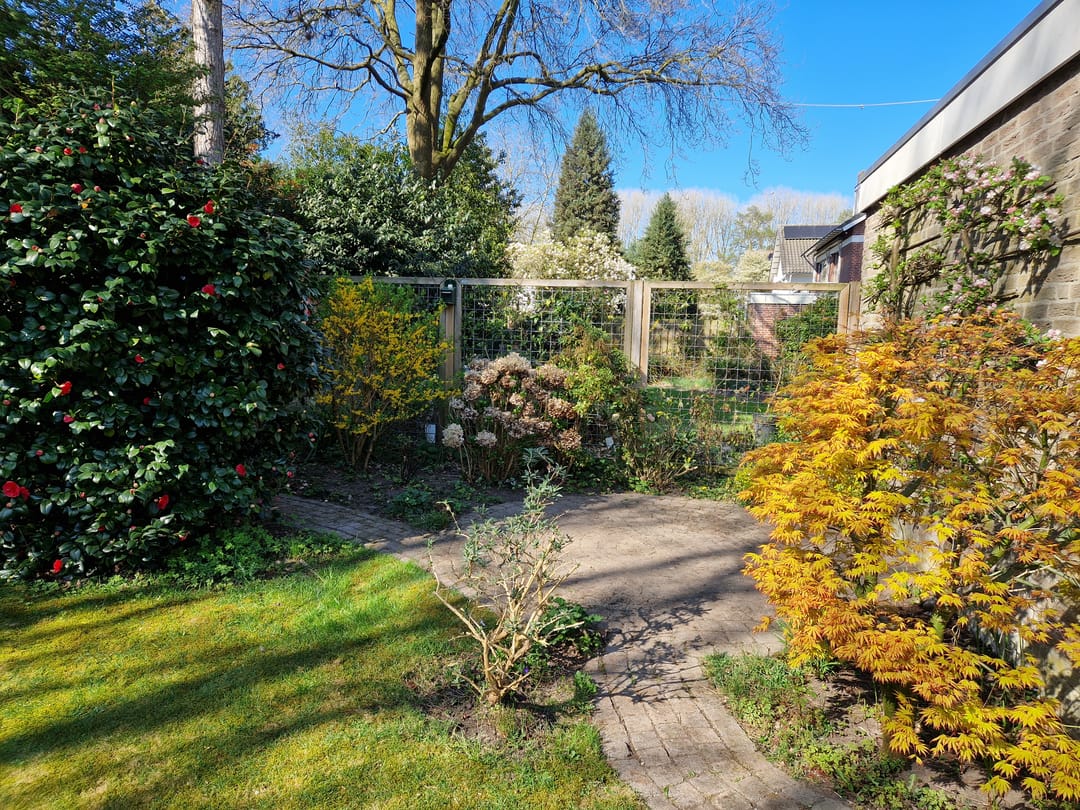 Foto 52 van Icaruslaan 18