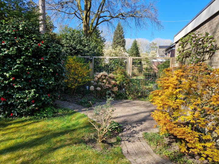 Foto 52 van Icaruslaan 18