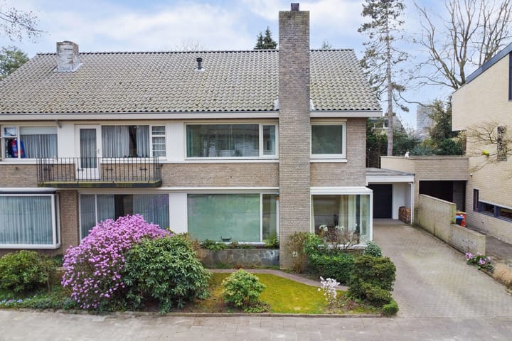 Foto 60 van Icaruslaan 18