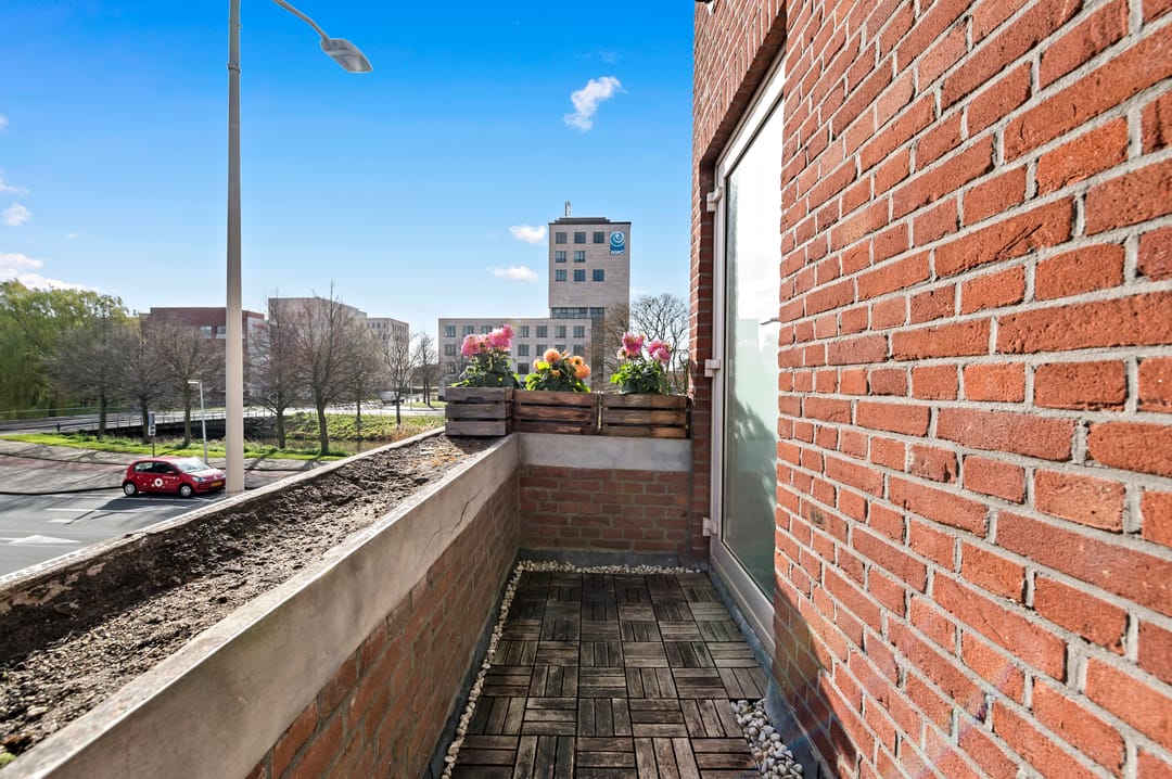 Foto 26 van Laan van Nieuw-Oost-Indië 284