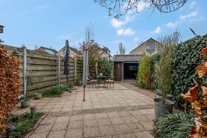 Photo 36 of Vogelwikke 23