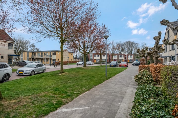 Photo 40 of Vogelwikke 23