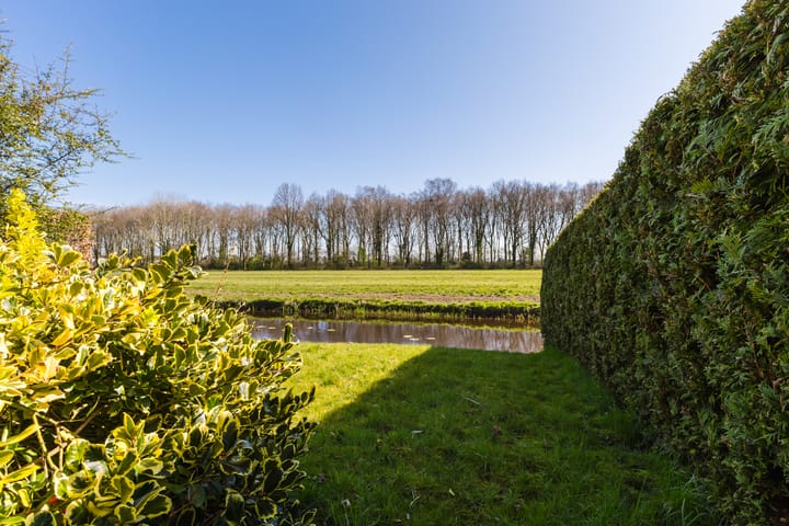 Foto 21 van De Helling 55