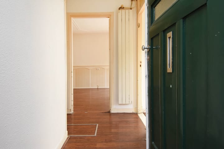 Foto 4 van Drijfriemstraat 23