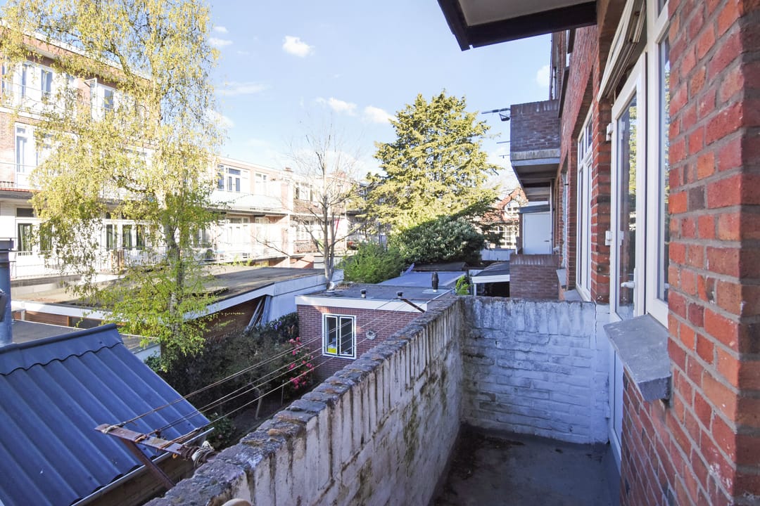 Foto 8 van Drijfriemstraat 23