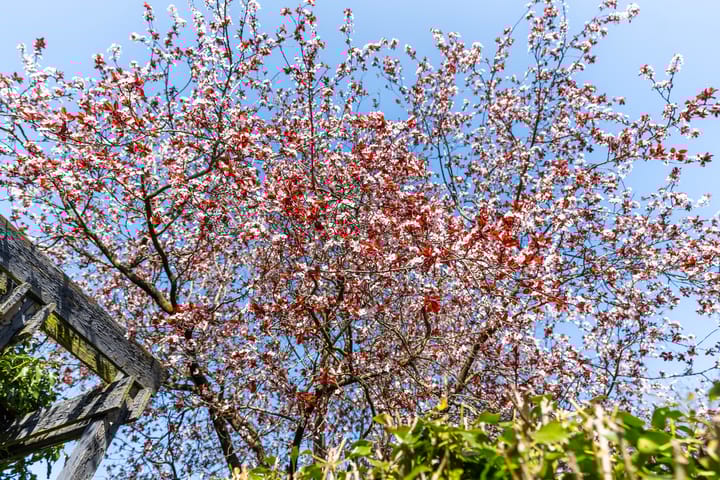 Foto 26 van Staniastate 28