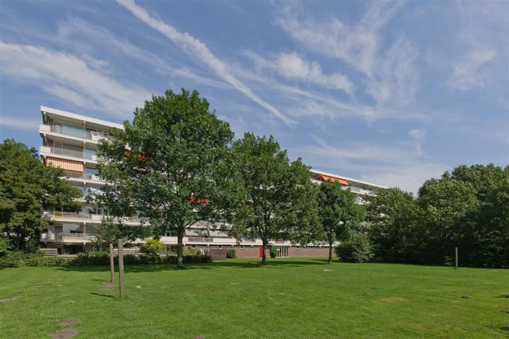 Photo 2 of Steenberghelaan 47