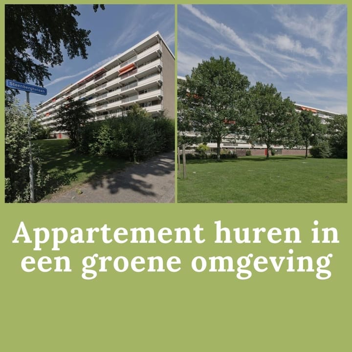 Photo 3 of Steenberghelaan 47