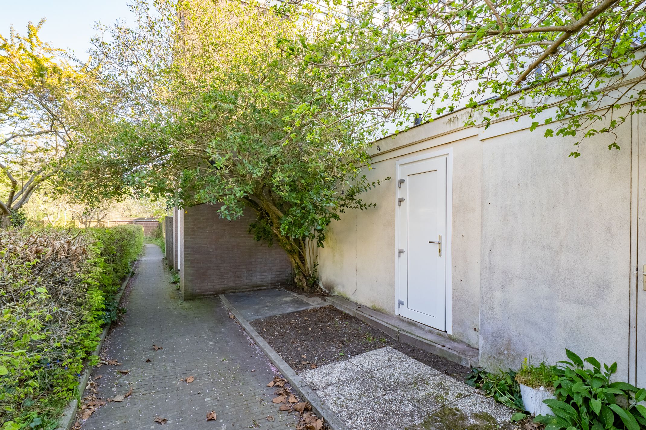 Foto 30 van Otterstraat 54