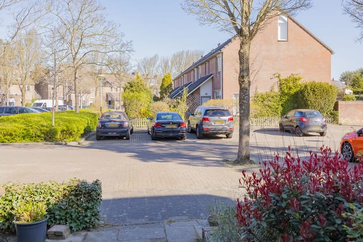 Foto 33 van Snippenbos 62