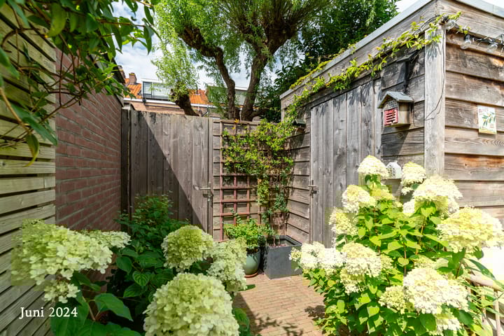 Foto 27 van De Vriesstraat 60