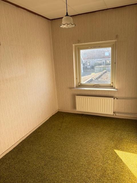 Foto 18 van Bisonstraat 17