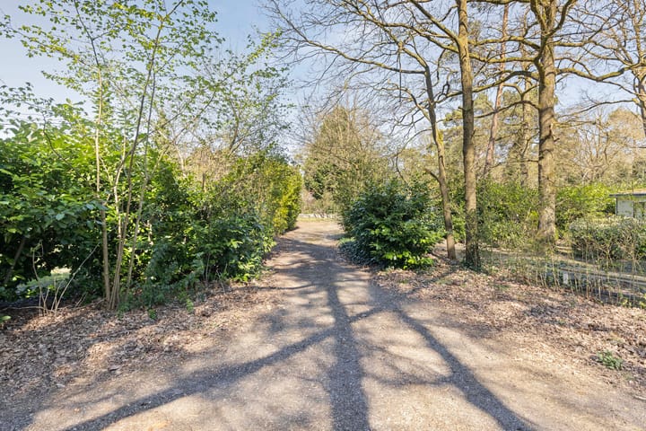 Foto 31 van Potdijk 8-S079