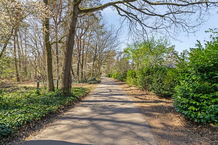 Foto 32 van Potdijk 8-S079