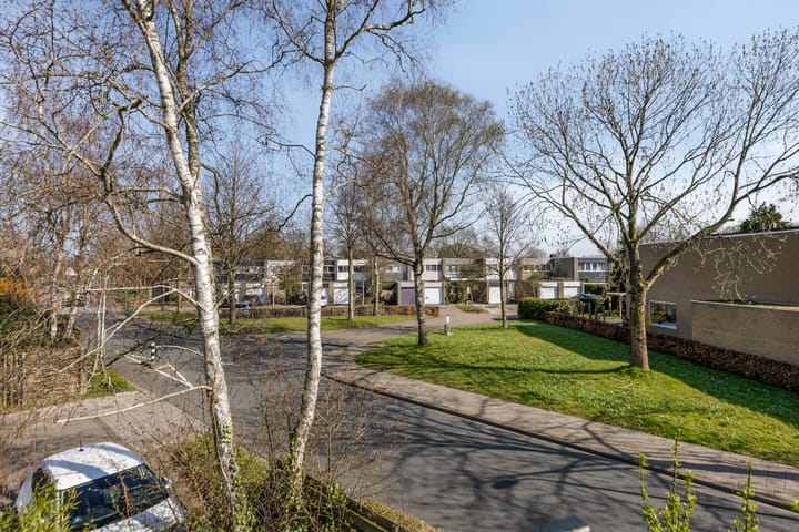 Foto 24 van Timothee 12