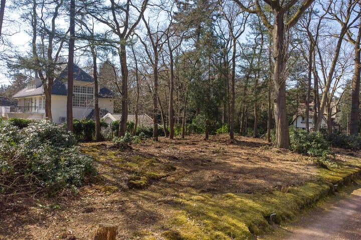 Foto 3 van Utrechtseweg 61