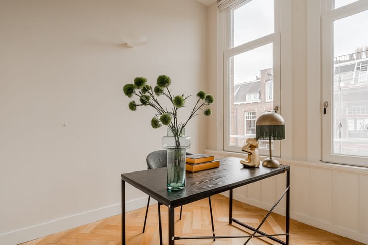 Foto 30 van Valeriusstraat 233-3