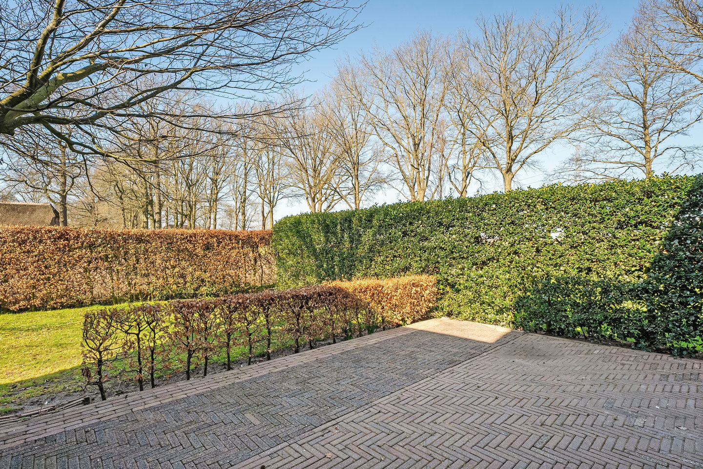 Photo 59 of Evenboersweg 50