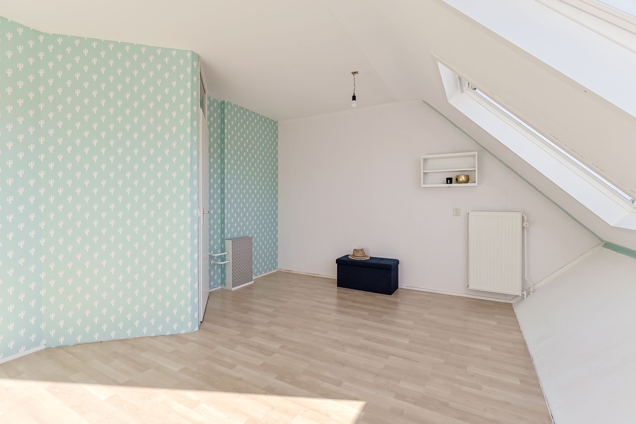 Photo 24 of Waterwolf 23