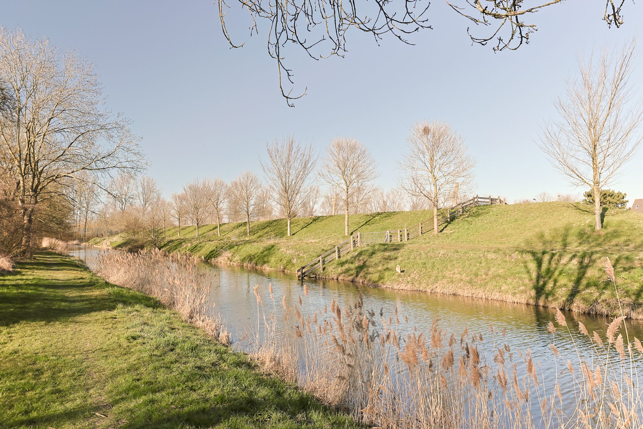 Photo 45 of Waterwolf 23