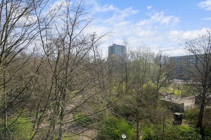 Foto 10 van Curieplaats 309