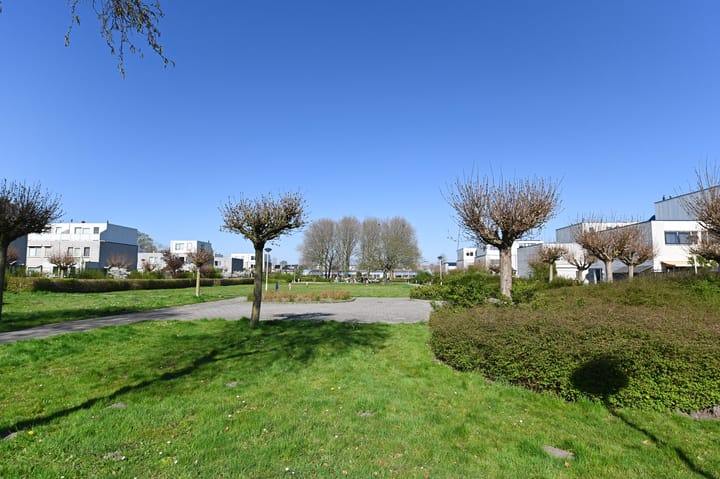 Photo 39 of Indigoblauw 45