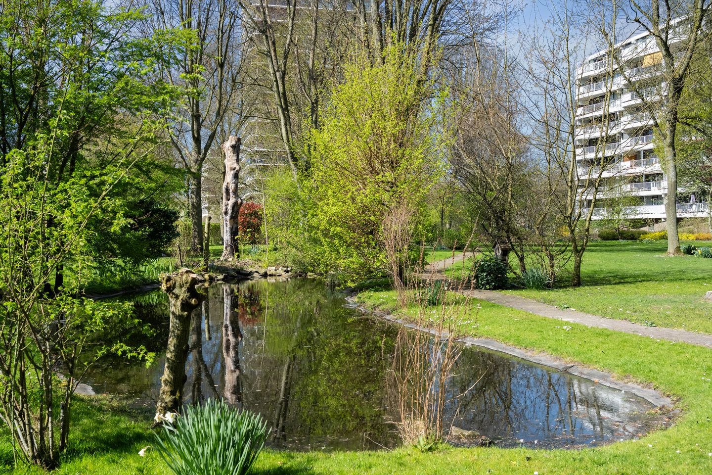 Foto 34 van Curieplaats 309