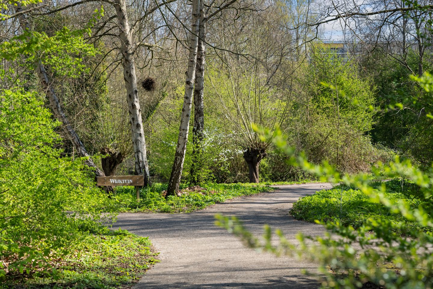 Foto 35 van Curieplaats 309