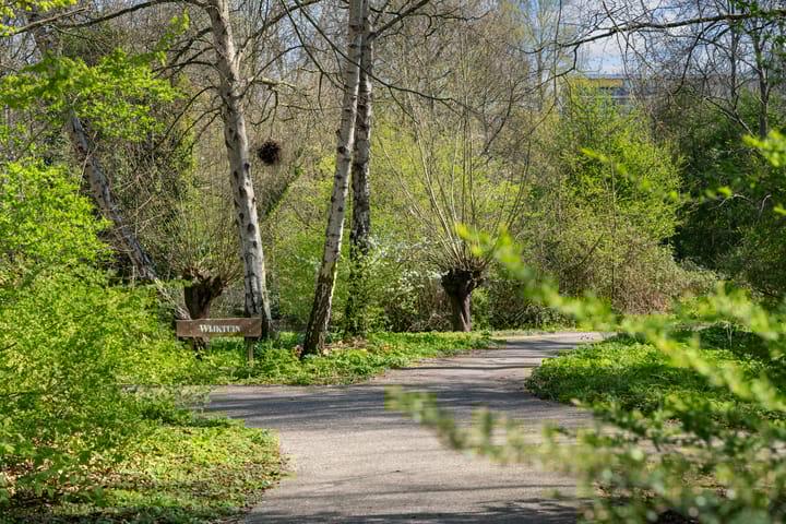 Foto 35 van Curieplaats 309