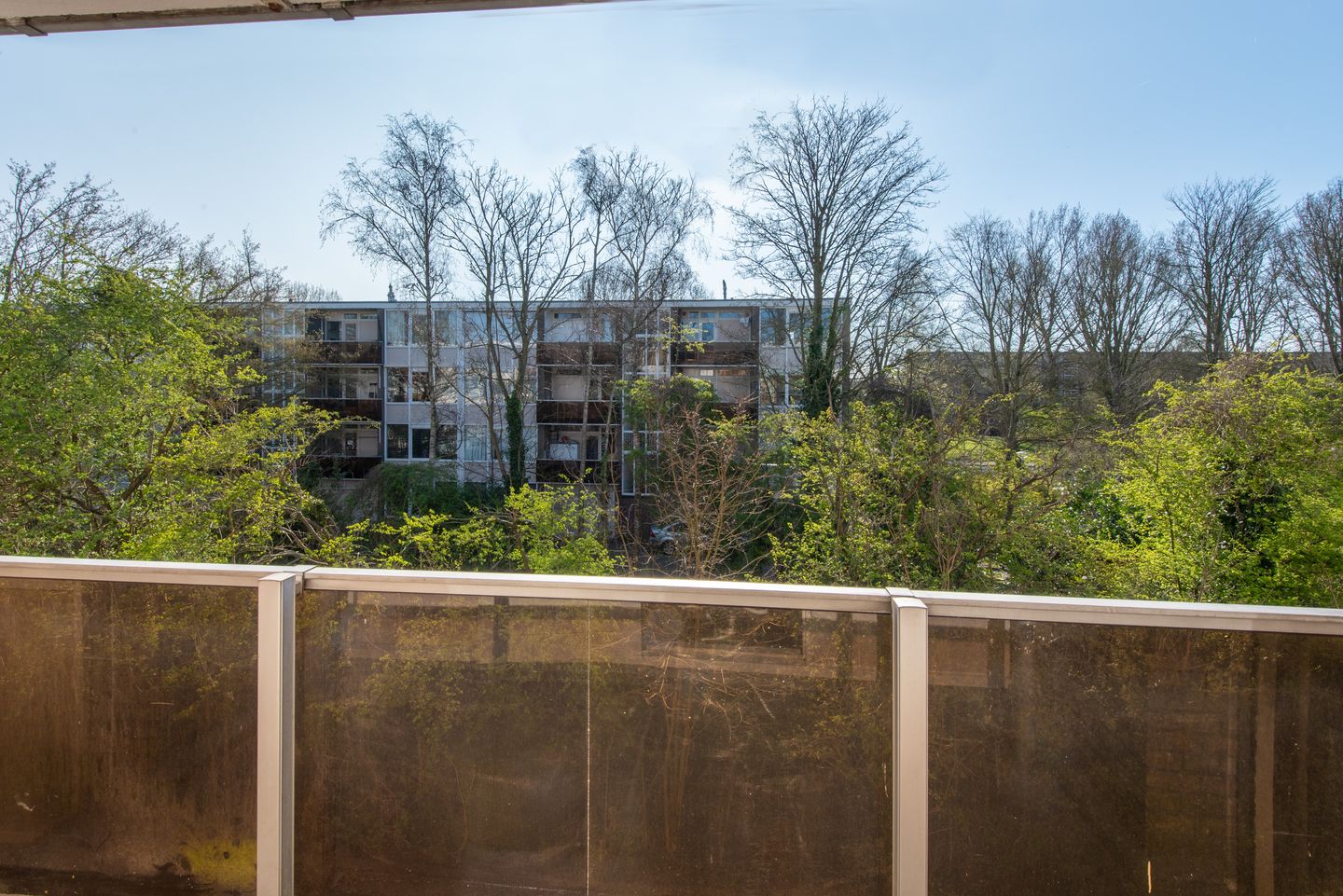 Photo 20 of Cornelis Pronklaan 169