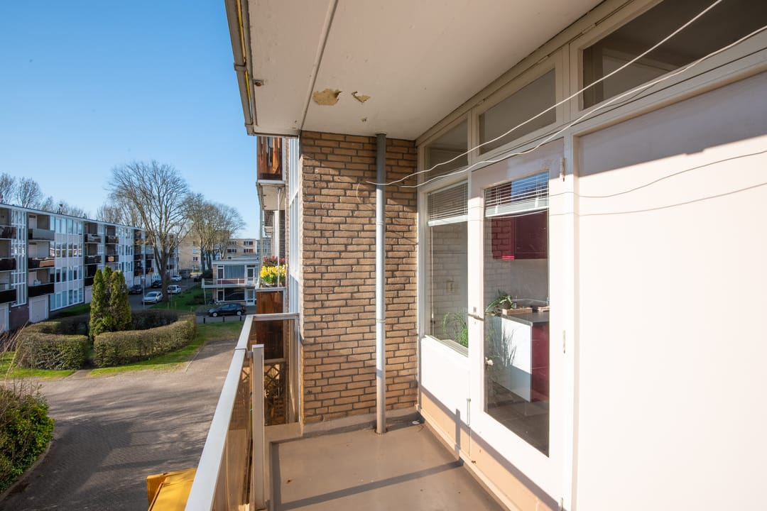 Photo 22 of Cornelis Pronklaan 169