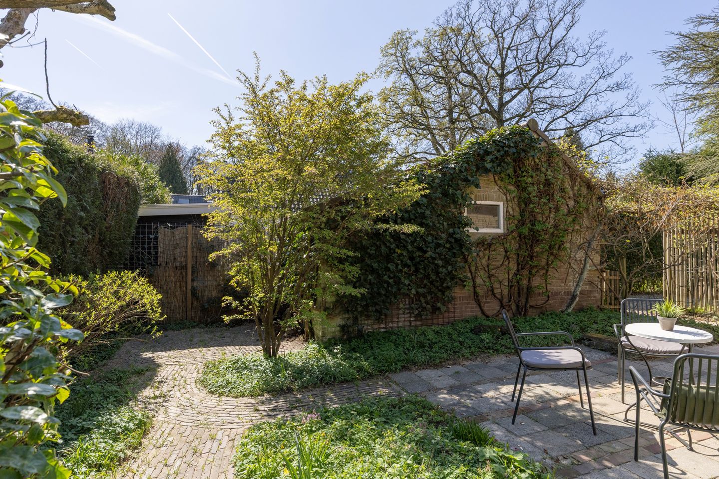 Photo 40 of Lindenlaan 4