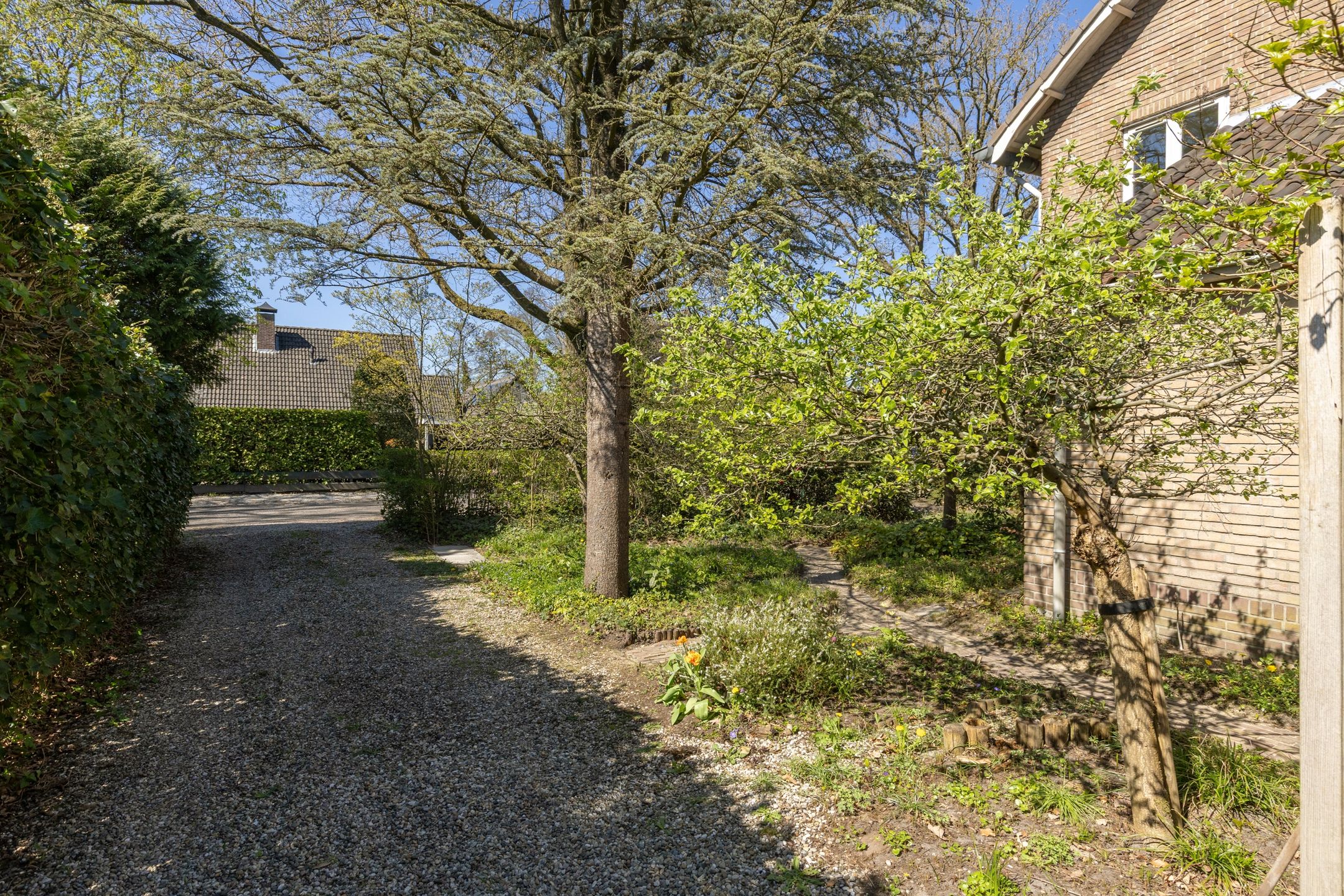 Photo 48 of Lindenlaan 4