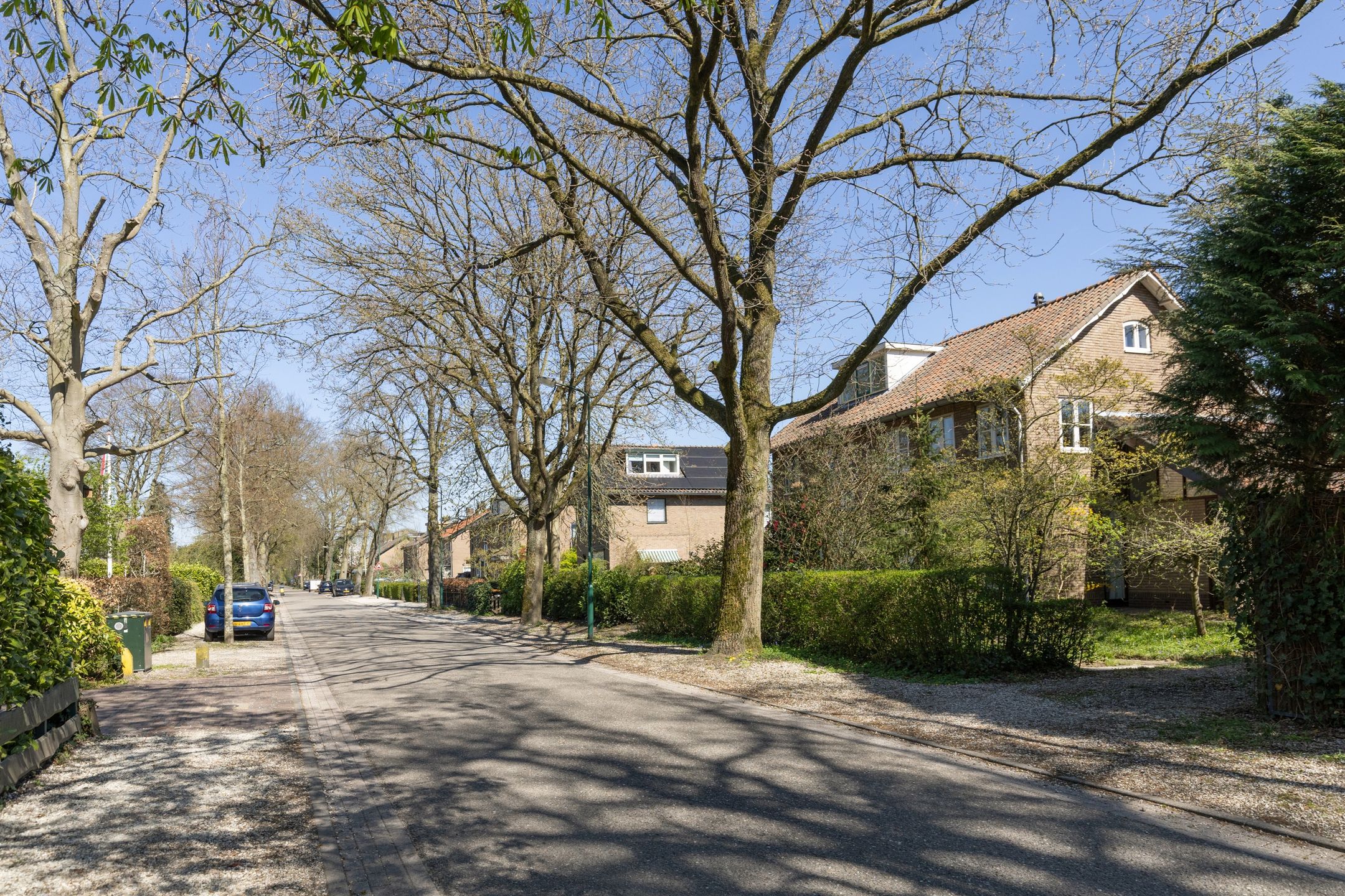 Photo 51 of Lindenlaan 4