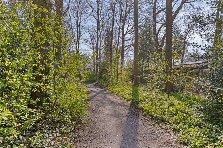 Foto 41 van Oerkampweg 19