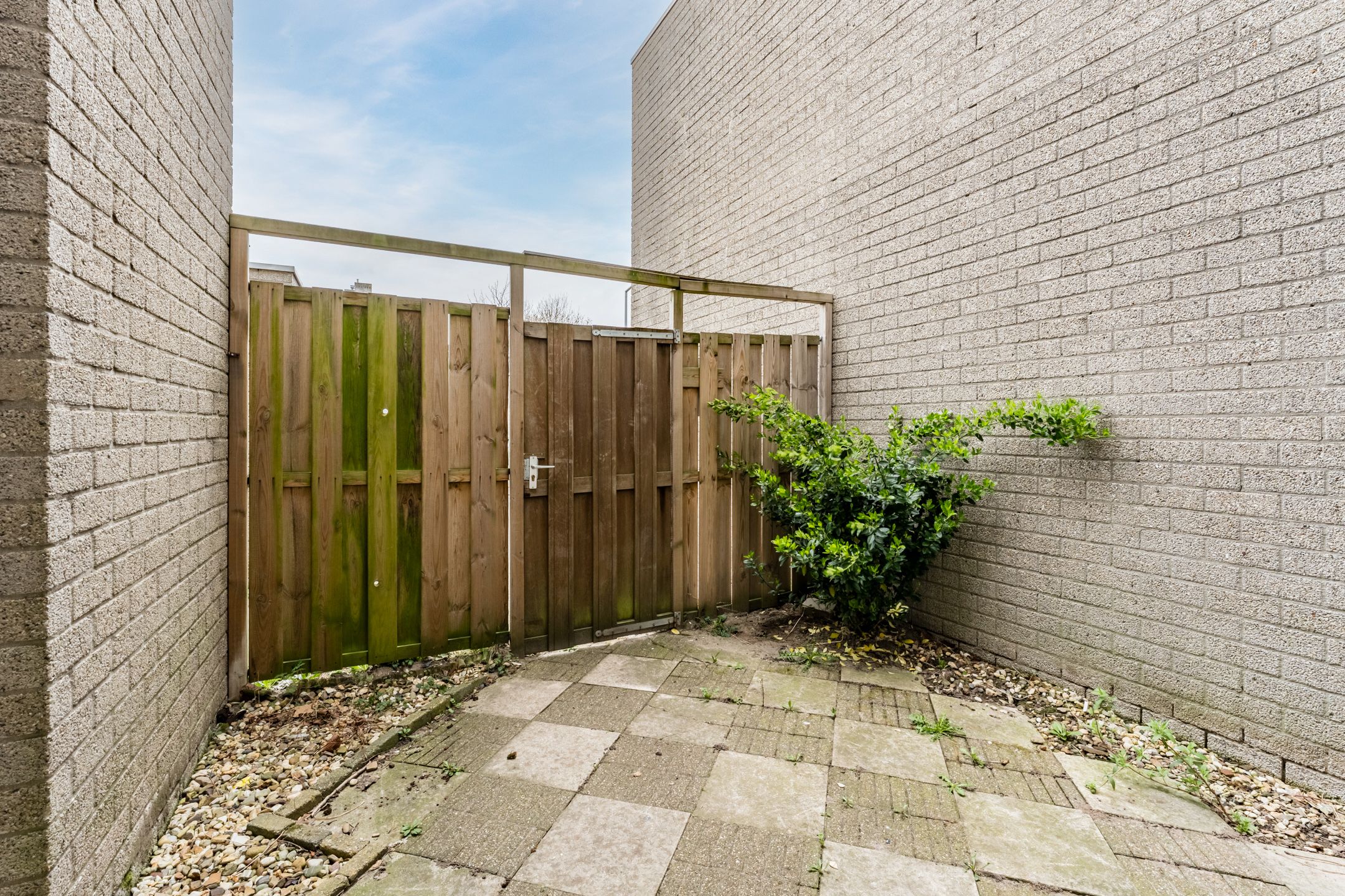 Foto 3 van Bijster 63