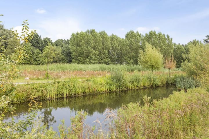 Foto 25 van Drenkkuil 19